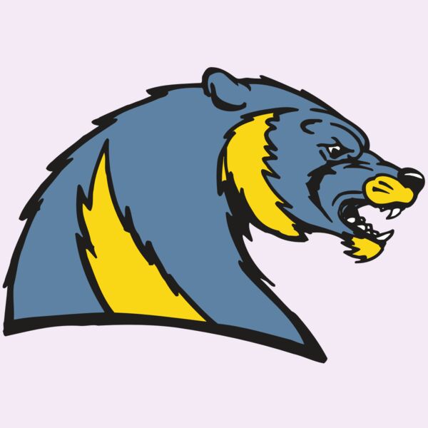 AR5 Wolverine 20 RQC Thumbnail