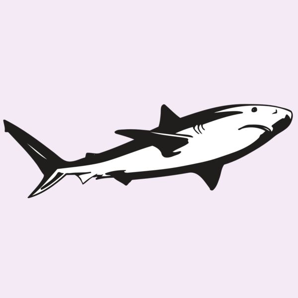 AR5 Shark 15 RQC Thumbnail