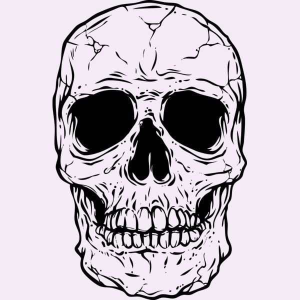 Skull Thumbnail